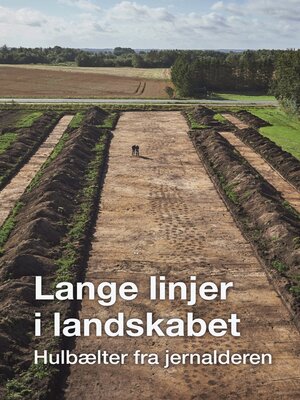 cover image of Lange linjer i landskabet